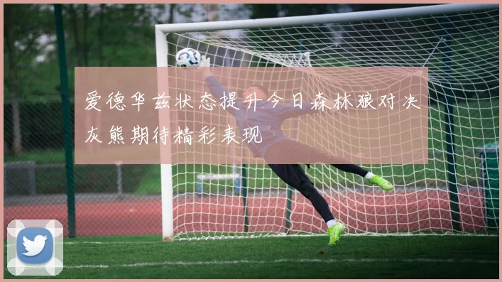 爱德华兹状态提升今日森林狼对决灰熊期待精彩表现