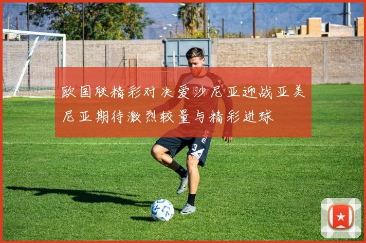 欧国联精彩对决爱沙尼亚迎战亚美尼亚期待激烈较量与精彩进球