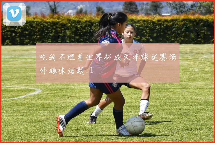 吃狗不理看世界杯成天津球迷赛场外趣味话题_1